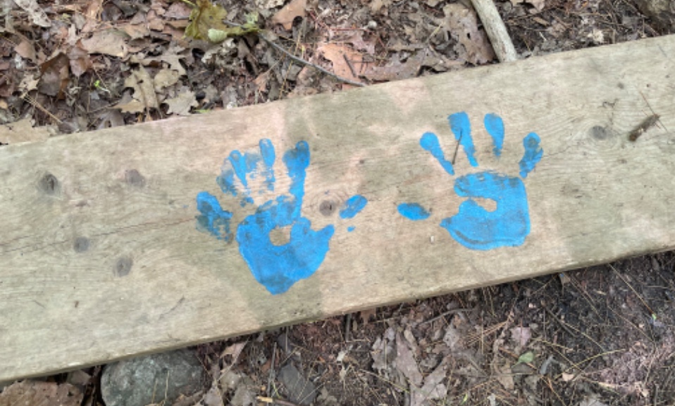 Empreintes de peinture mains bleues sur une planche de bois.